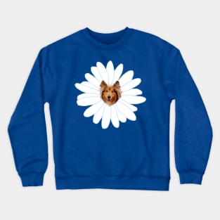 Collie Flower Daisy Dog Crewneck Sweatshirt